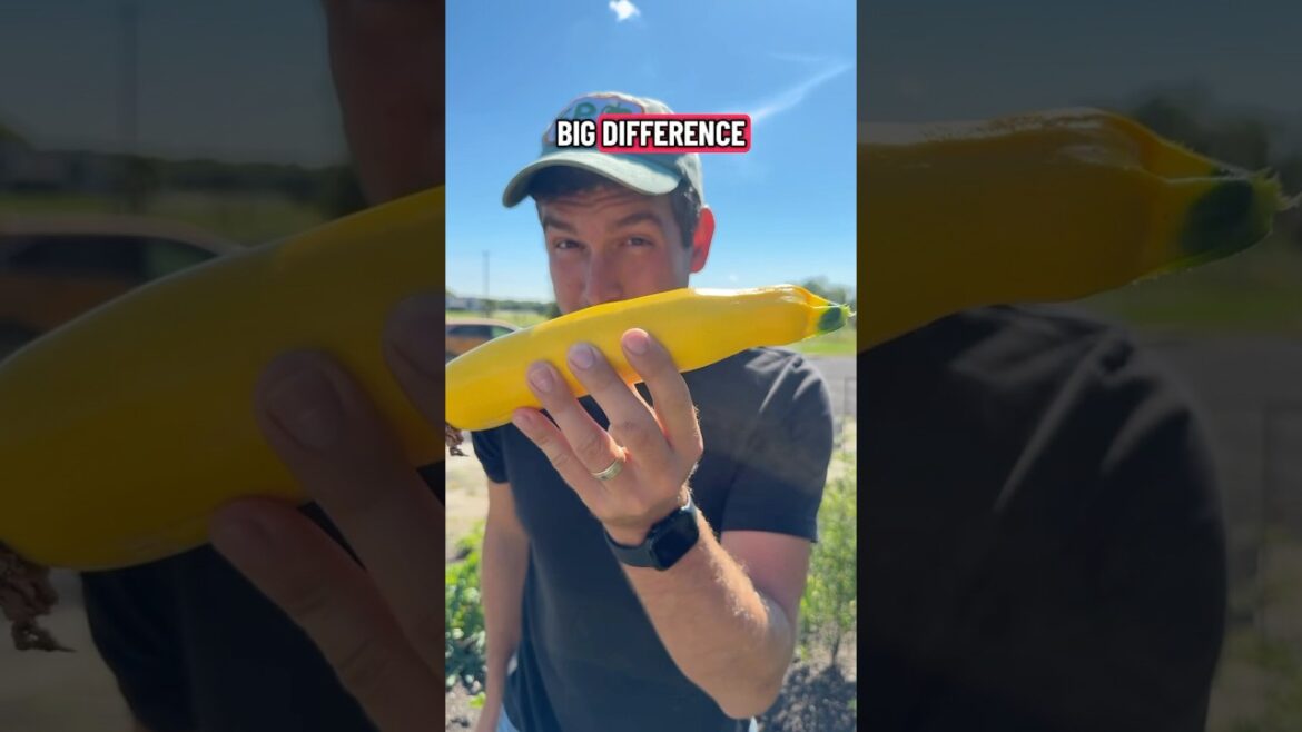 The Science Says Harvest During a Full Moon - Here’s Why #gardening #garden #shorts