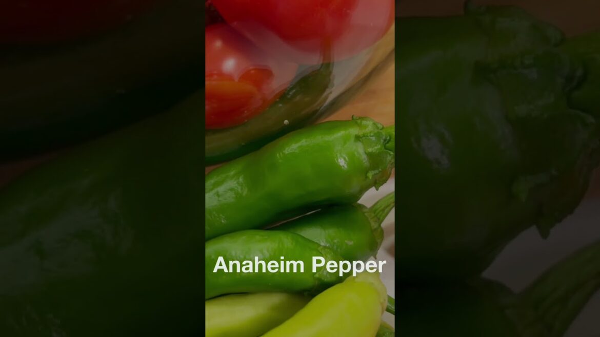 My harvest as a newer gardener in zone 7B #harvest