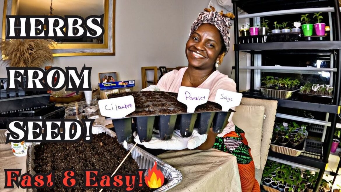 Start Herb Seeds Indoors FAST 🌿 | Grow Parsley, Cilantro, Sage & More from Seed! Start Herb Seeds Indoors FAST 🌿 | Grow Parsley, Cilantro, Sage & More from Seed!