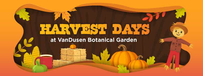 VanDusen Botanical Garden’s Harvest Days returns this fall with seasonal splendor VanDusen Botanical Garden’s Harvest Days returns this fall with seasonal splendor