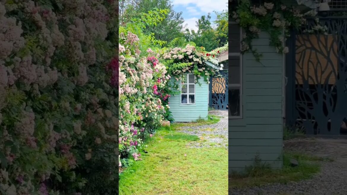 Stunning Unique Garden Decor Trends 🌼🌴#plants #gardening #nature #garden #amazing #phoyography