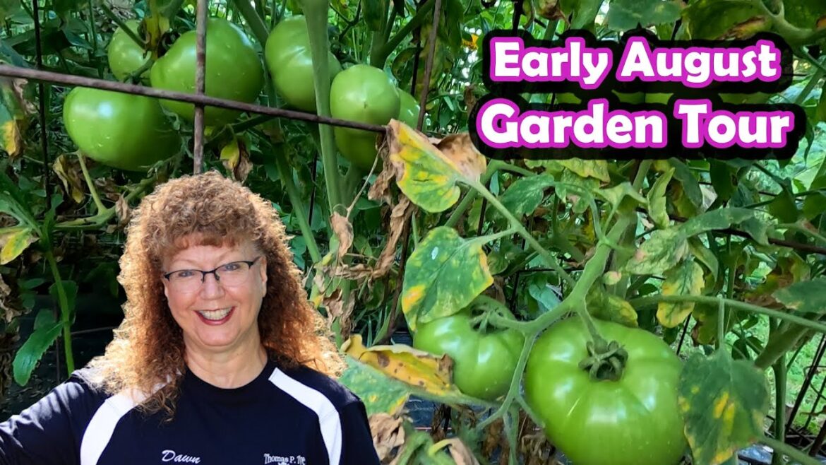 August 2025 Garden Tour: Landscaping Contractor’s Home Garden - New Jersey