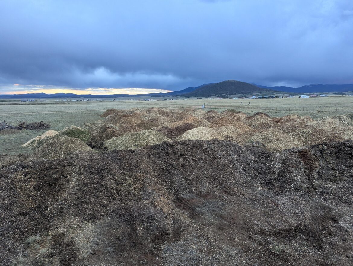 I hit the woodchip mother load!!