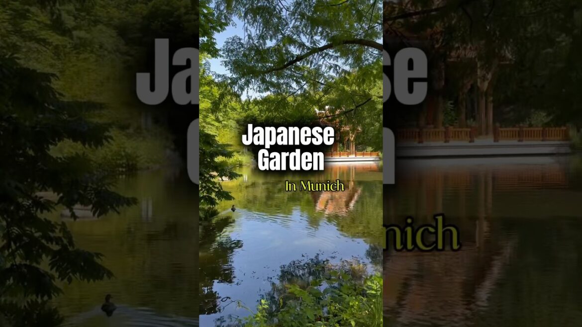 Japanese Garden in Munich - Serene and Beautiful #livingingermany #japanesgardenpark #munich