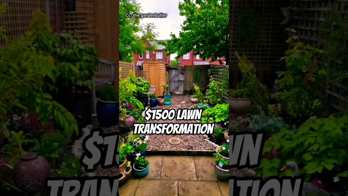 $1500 Backyard Transformation for a Retired Firefighter 🧑‍🚒 | Satisfying Lawn & Garden Makeover