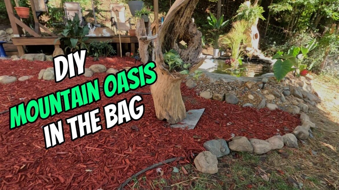 NOT TOO SHABBY: FINISHING TOUCHES ON THE LITTLE OASIS IN THE MOUNTAINS! NOT TOO SHABBY: FINISHING TOUCHES ON THE LITTLE OASIS IN THE MOUNTAINS!