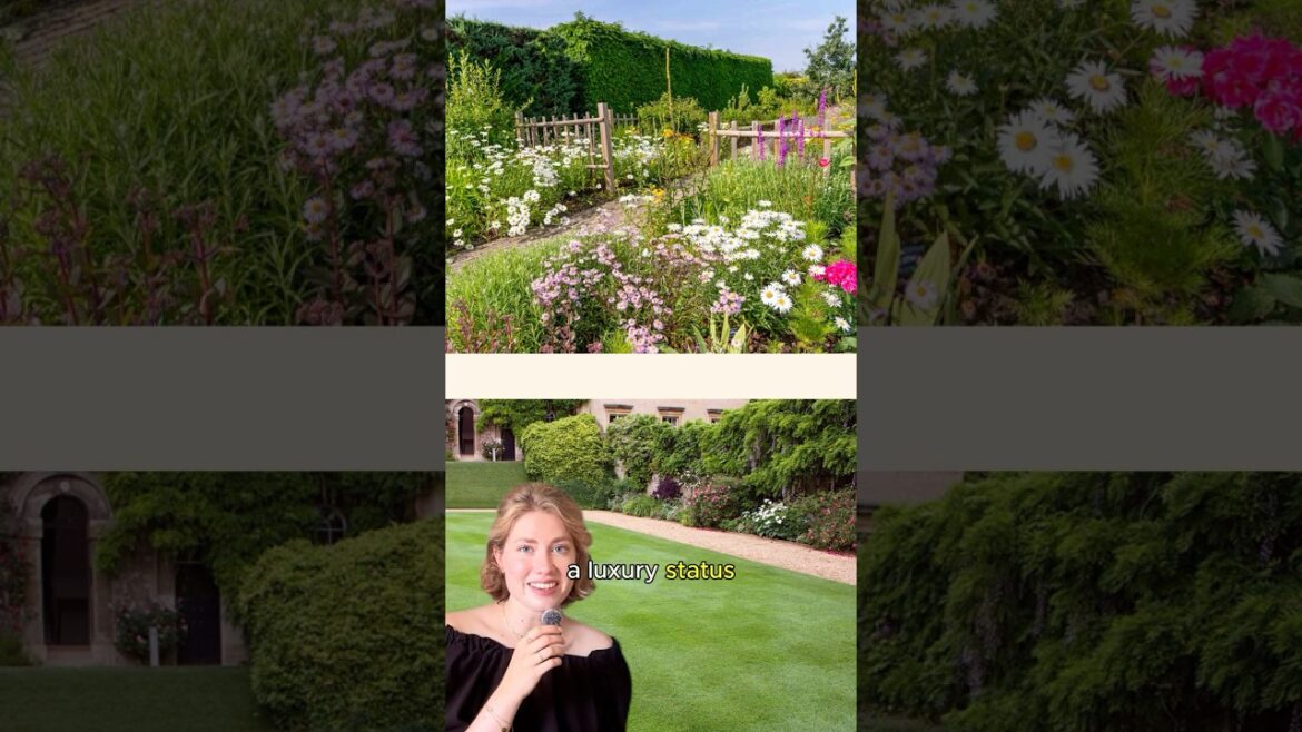 You Got Brainwashed Into Loving Lawns You Got Brainwashed Into Loving Lawns