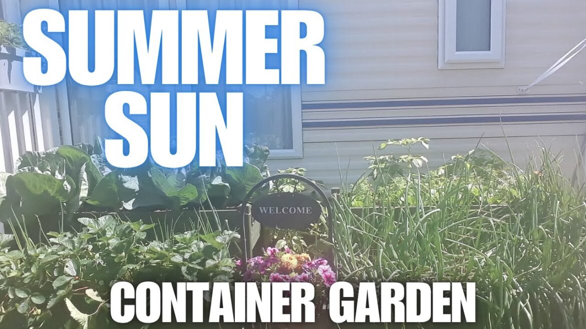 Summer Container Vegetable Garden [Container Gardening ]
