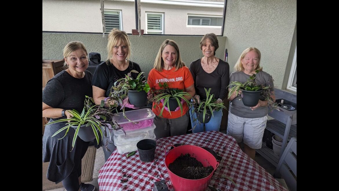 Host a Container Garden Class!