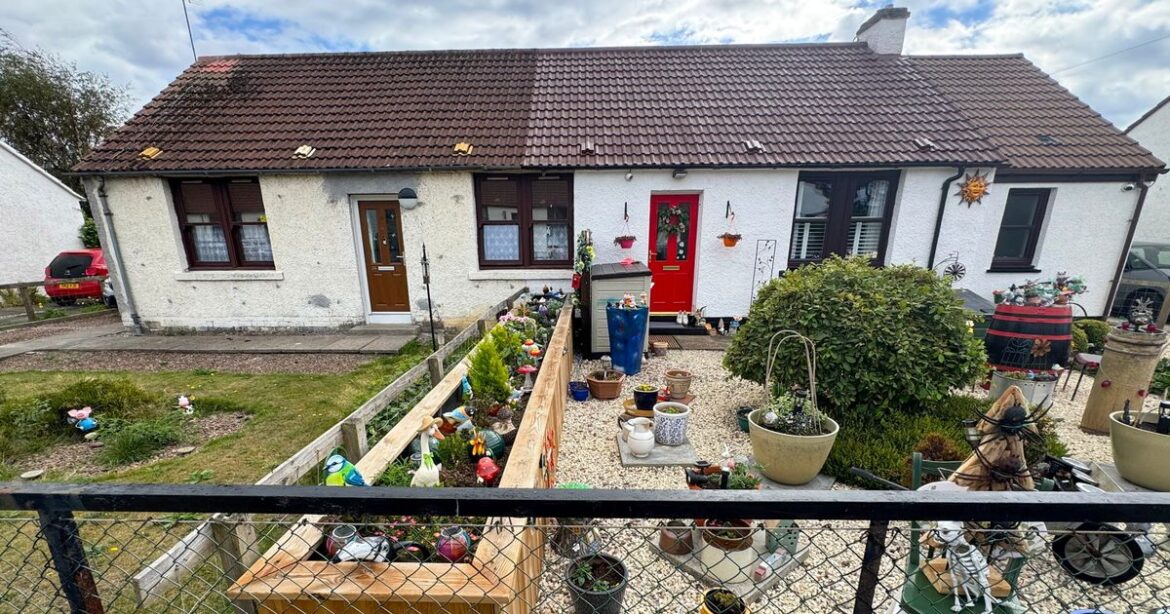 Scots pensioner forced to get planning permission for garden plant pot after neighbours complain Ipso logo