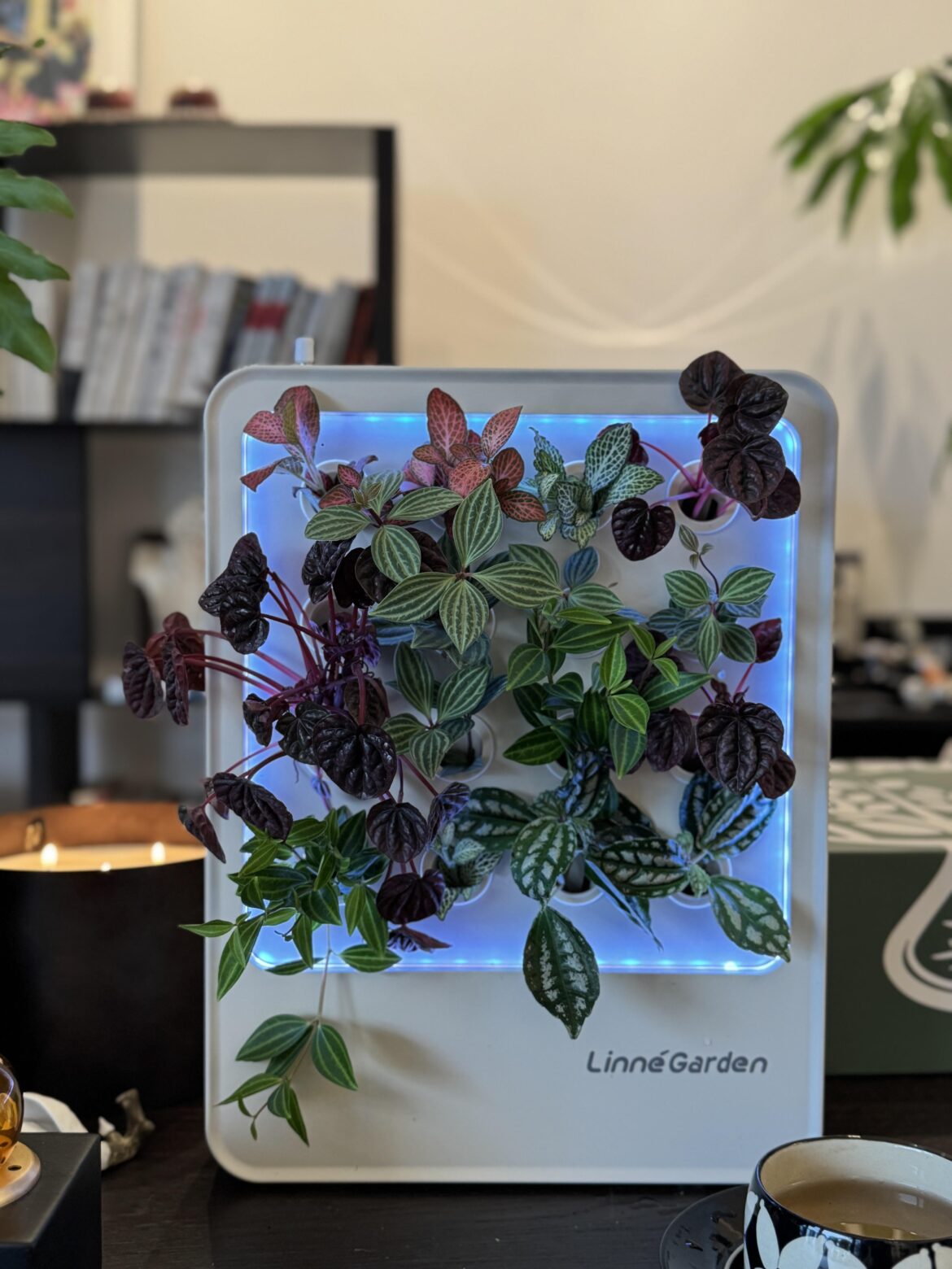 From 3D-printed prototype to 141 backers — thanks Reddit! From 3D-printed prototype to 141 backers — thanks Reddit!