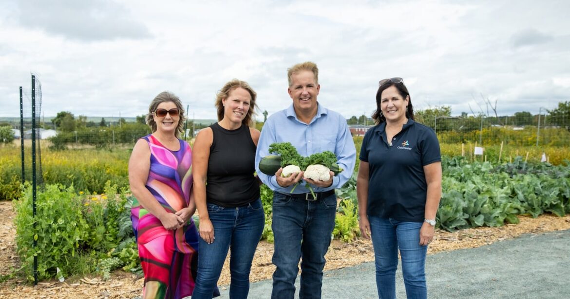 Three new collaborative food networks open in N.S.