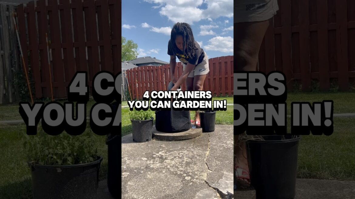 Backyard Container Gardening Ideas 👩🏽🌾 Backyard Container Gardening Ideas 👩🏽🌾