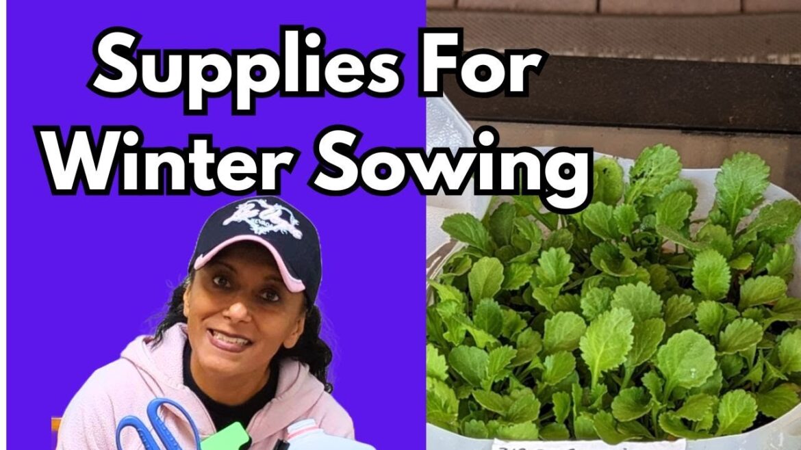 Cheapest Way To Start Seeds | Winter Sowing Supplies Needed || Budget Gardening