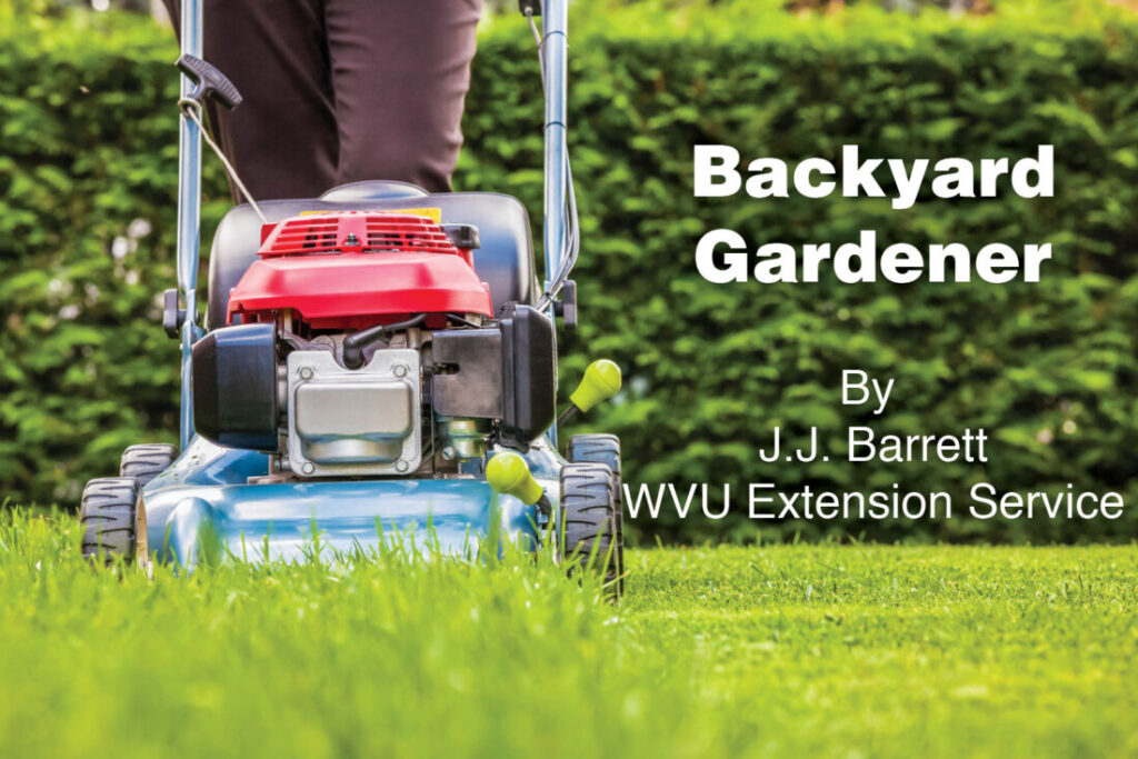 Backyard Gardener: Taking care of your lawn during the fall months | News, Sports, Jobs Backyard Gardener: Taking care of your lawn during the fall months | News, Sports, Jobs