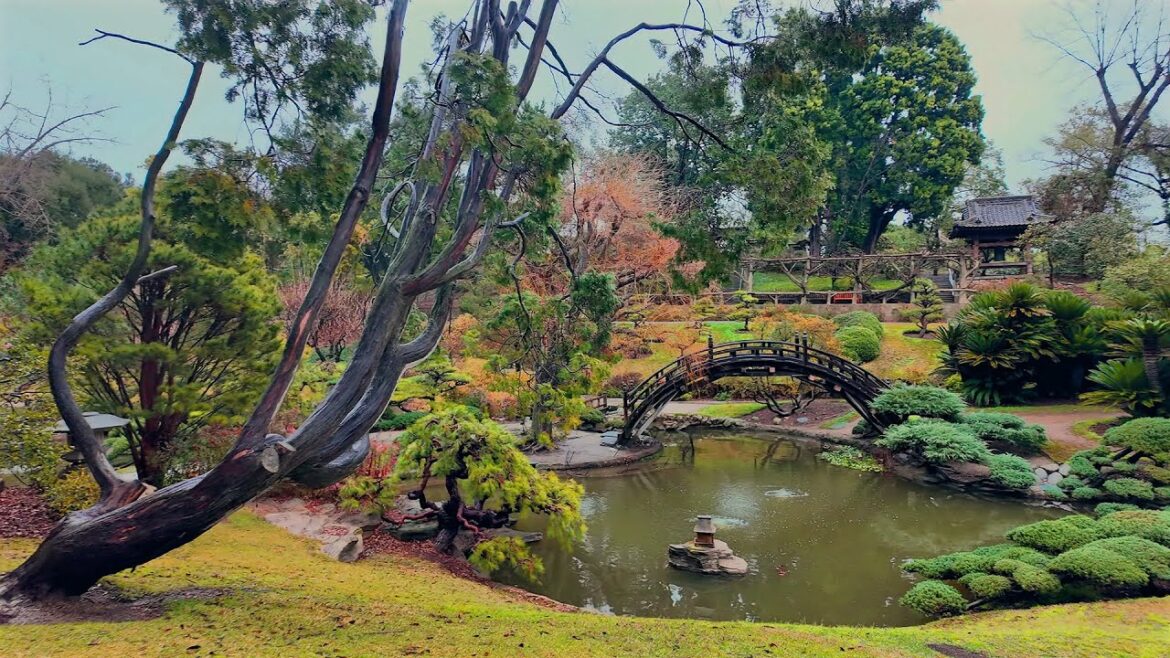 Walking the Japanese Garden in the Morning Under a Light Winter Rain (in 4k) Walking the Japanese Garden in the Morning Under a Light Winter Rain (in 4k)