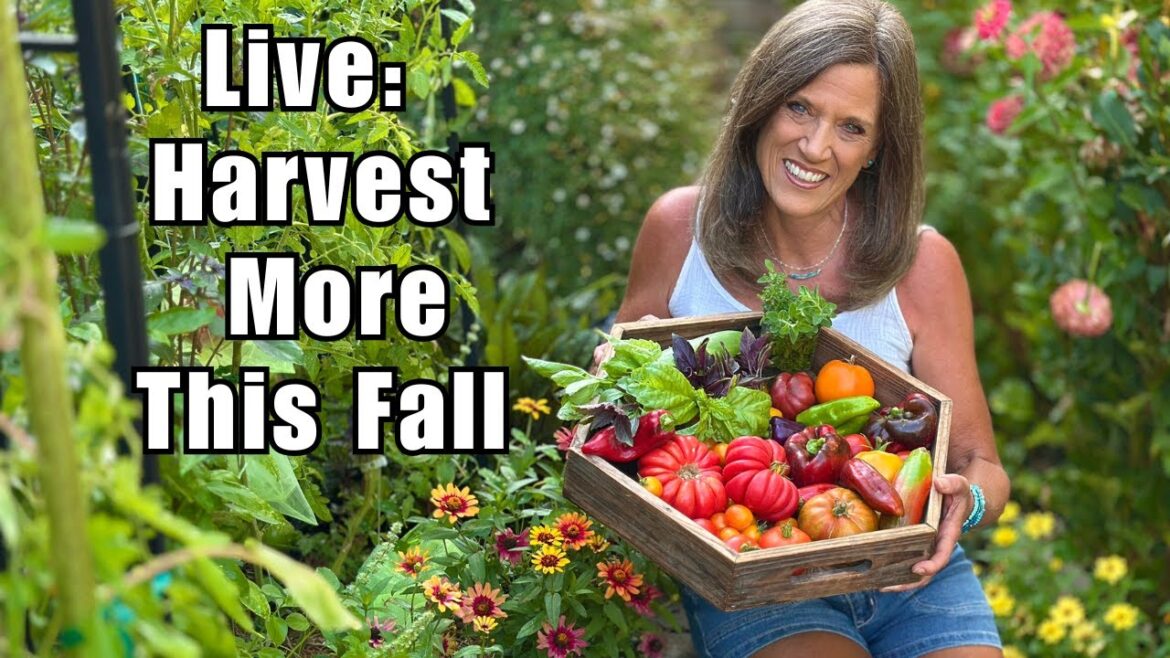 LIVE: Fresh Fall Garden Secrets to Keep Harvesting Longer