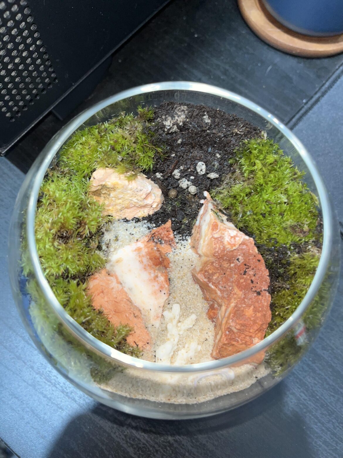 State pf my moss