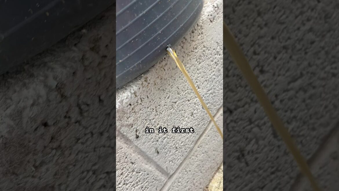 Why you should drill holes in your growing container #growing #containergardening #garden