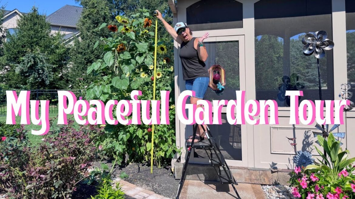 Tour My Private Cincinnati Garden: Peaceful Garden Tour 🌿 With Beautiful Yard Art Tour My Private Cincinnati Garden: Peaceful Garden Tour 🌿 With Beautiful Yard Art