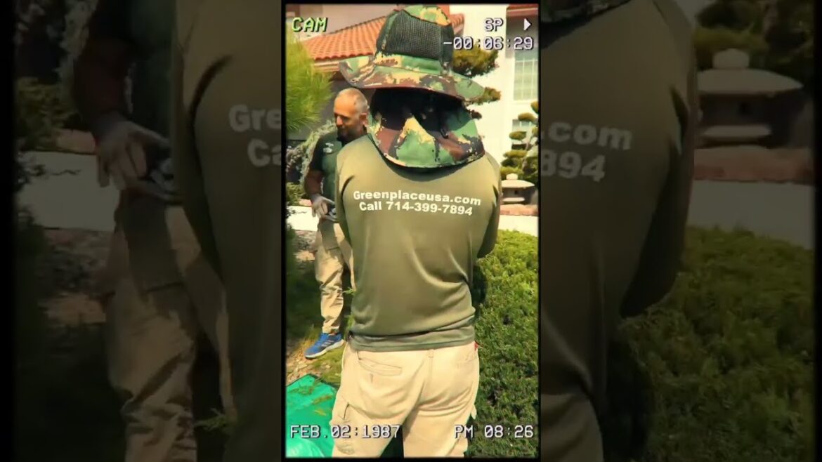 Transforming Gardens with Japanese Elegance: Expert Tree and Shrub Trimming Transforming Gardens with Japanese Elegance: Expert Tree and Shrub Trimming