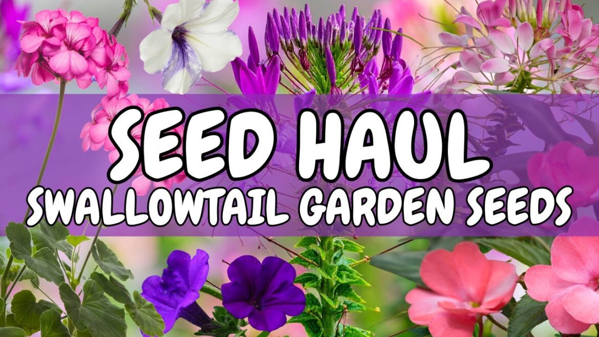 🌱 SEED HAUL from Swallowtail Garden Seeds | New Varieties & SPRING Plans!