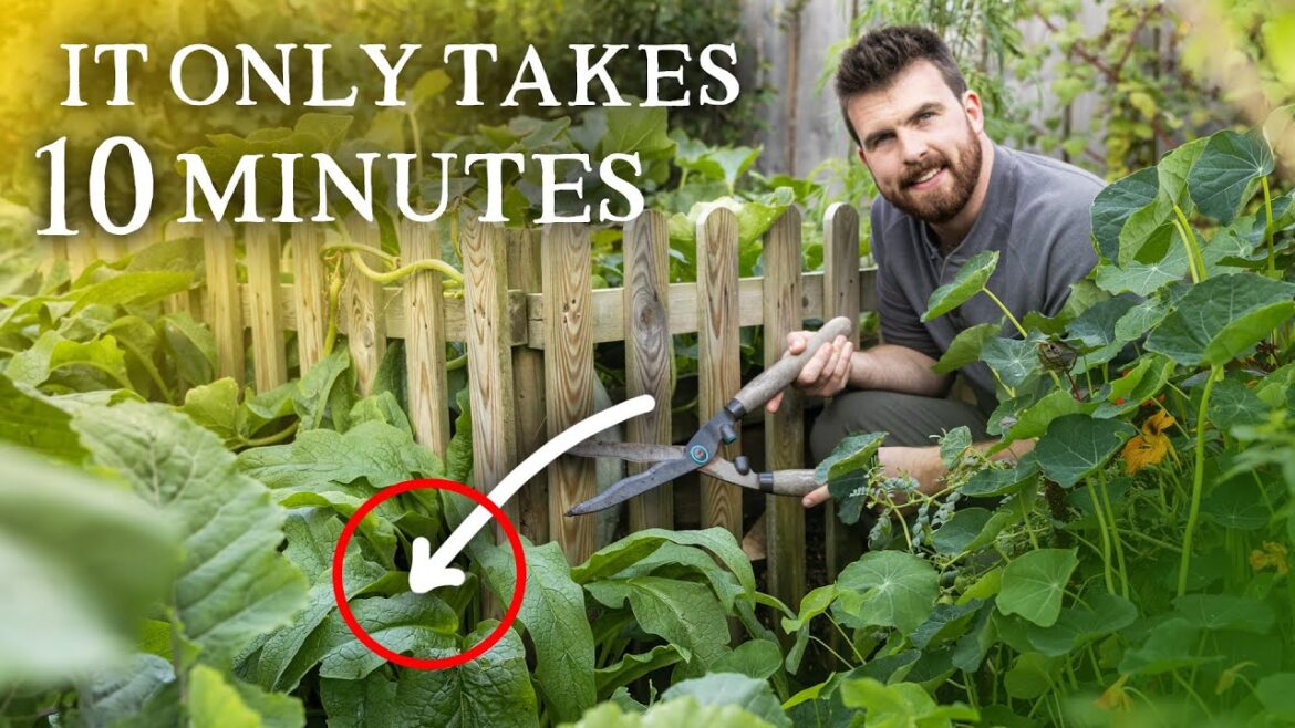 The Genius Compost Trick Every Gardener Should Know