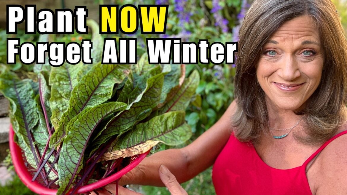 The Easiest 5 Vegetables to Plant in Fall and FORGET All Winter (Beginner friendly)