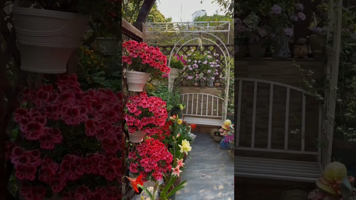 Amazing Home Garden Decor Ideas You'll Get Surprised 🌸🪴😲#homegardendecor #gardening #plants #asmr