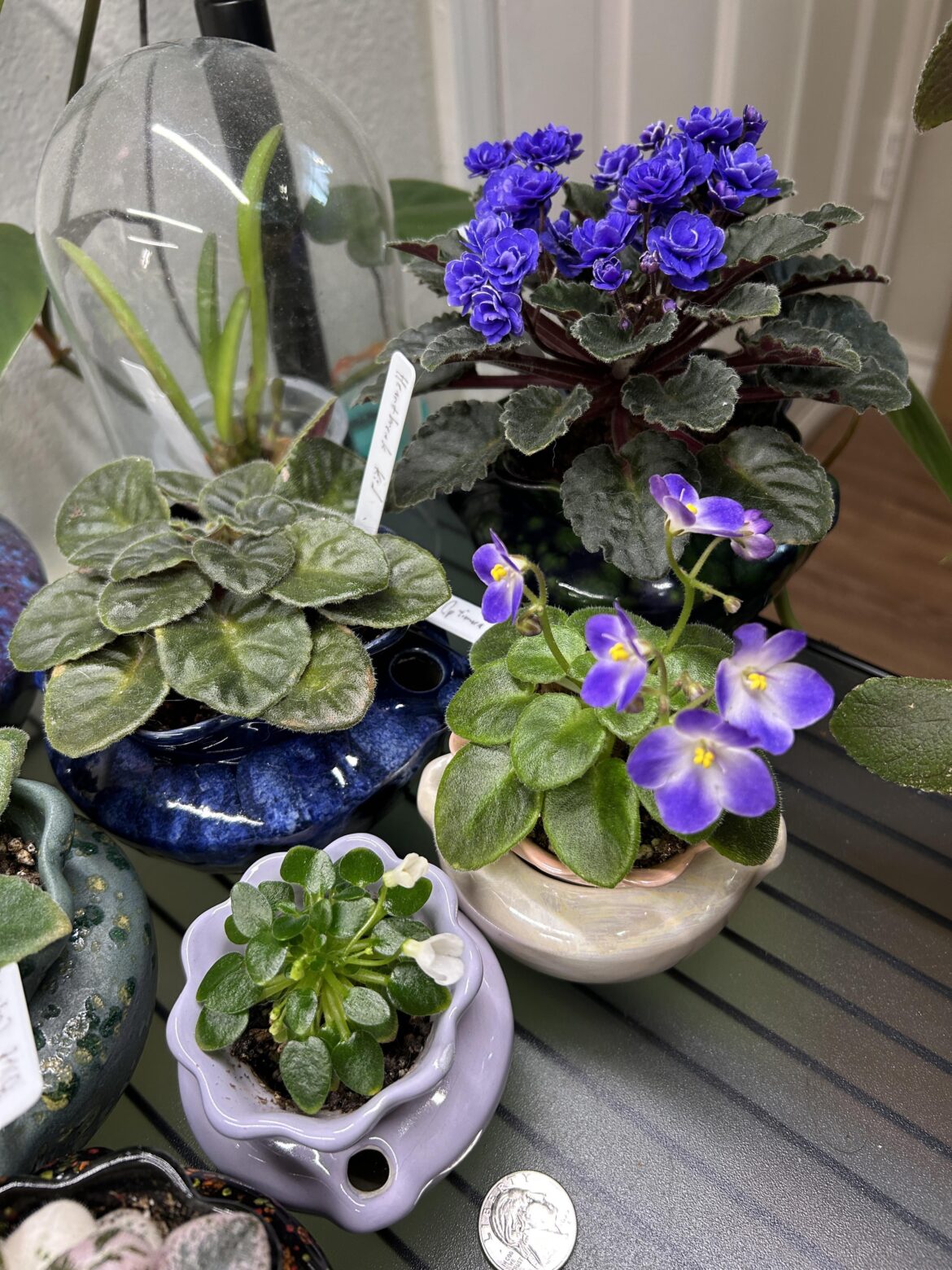Friday night blooms