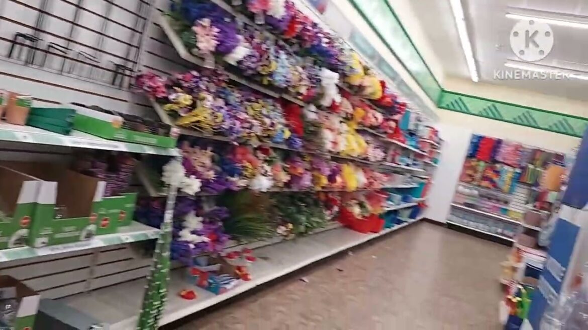 Garden Supplies At A Huge Dollar Tree Store 🛒 ASMR Shopping Sounds For Entertainment Only
