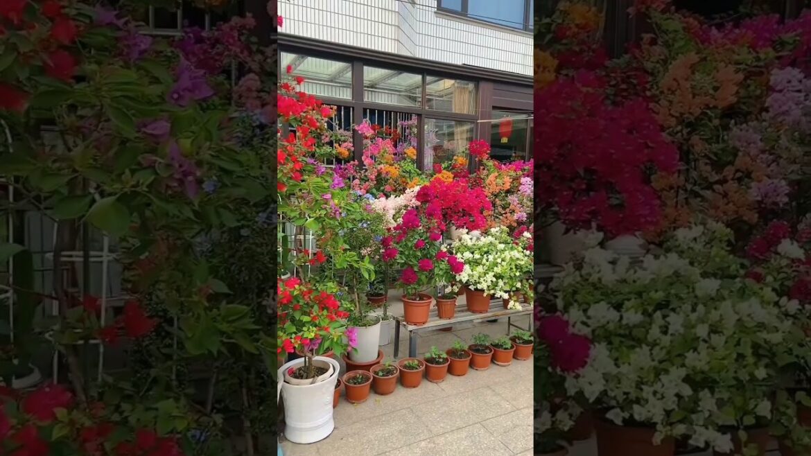 Get Growing🌸🌱 Gardening Ideas For Beginners #gardening #garden #homedecor #oasis #asmr #plants #diy