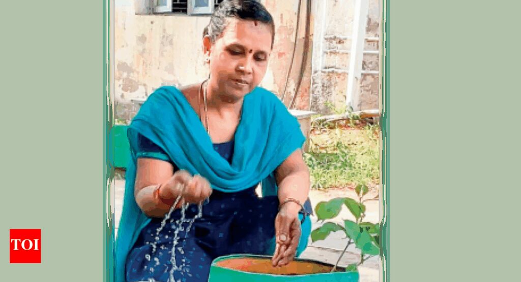 Madras Mali: Chennai Women Empowered Through Gardening | Chennai News Madras Mali: Chennai Women Empowered Through Gardening | Chennai News