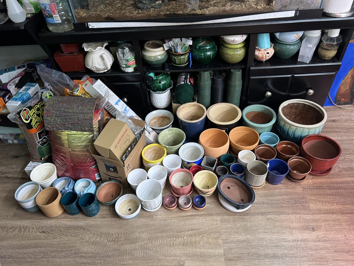 It only seems like a lot of empty pots when put them all in the same place