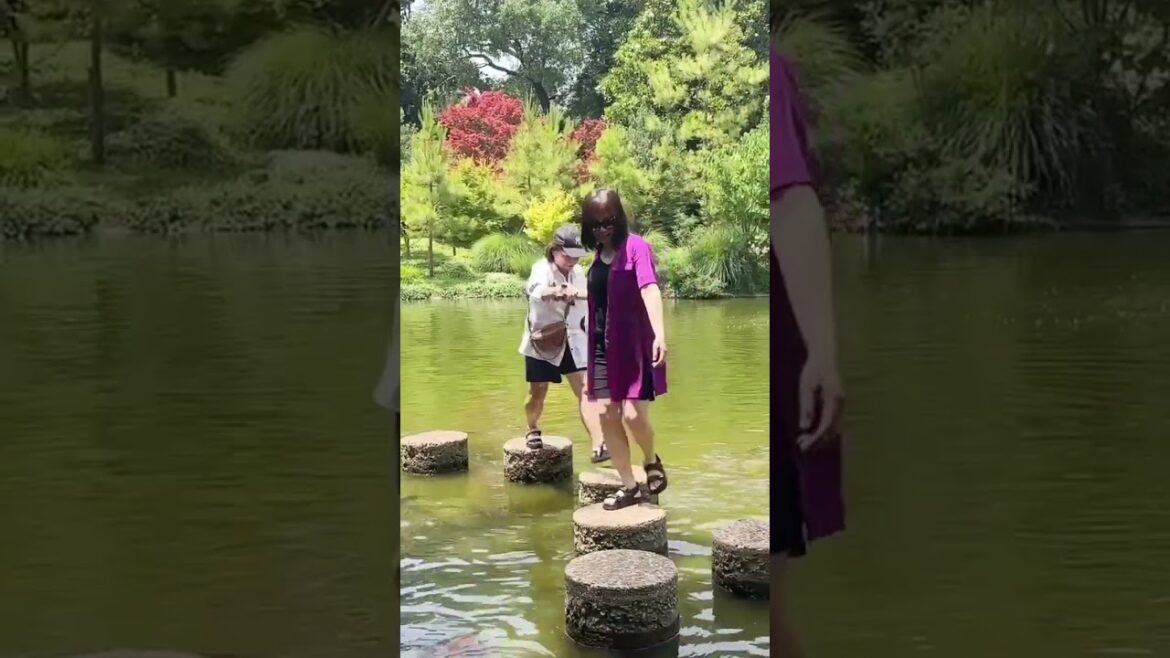 Japanese Garden in Dallas, Texas.