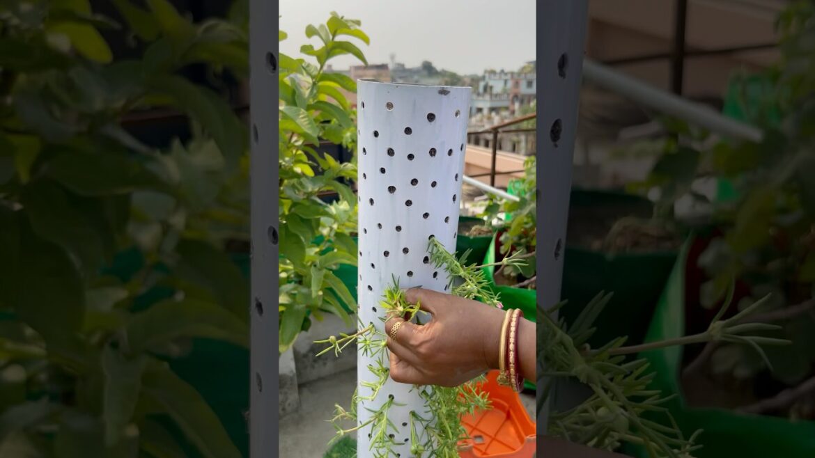 DIY rose moss tower 💕 | Garden decor ideas from plastic waste material #trendingshorts