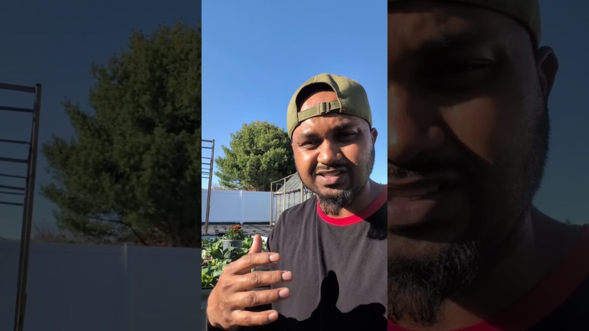 Vego Garden Novel Raised Bed #springgarden #vego #longisland