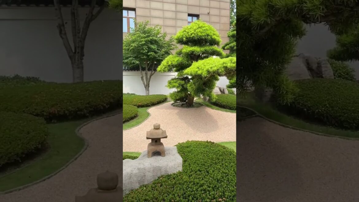 Japanese style dry landscape garden#home#house#landscape
