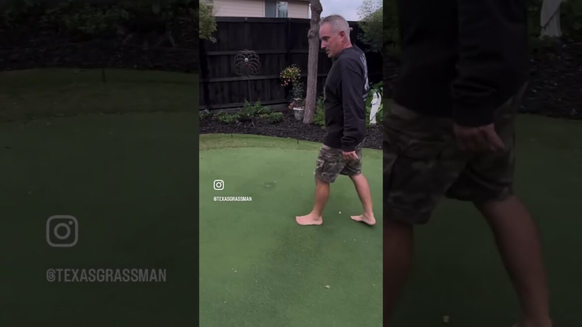 Lawn Life #landscape #golfgreen #puttinggreen #backyard