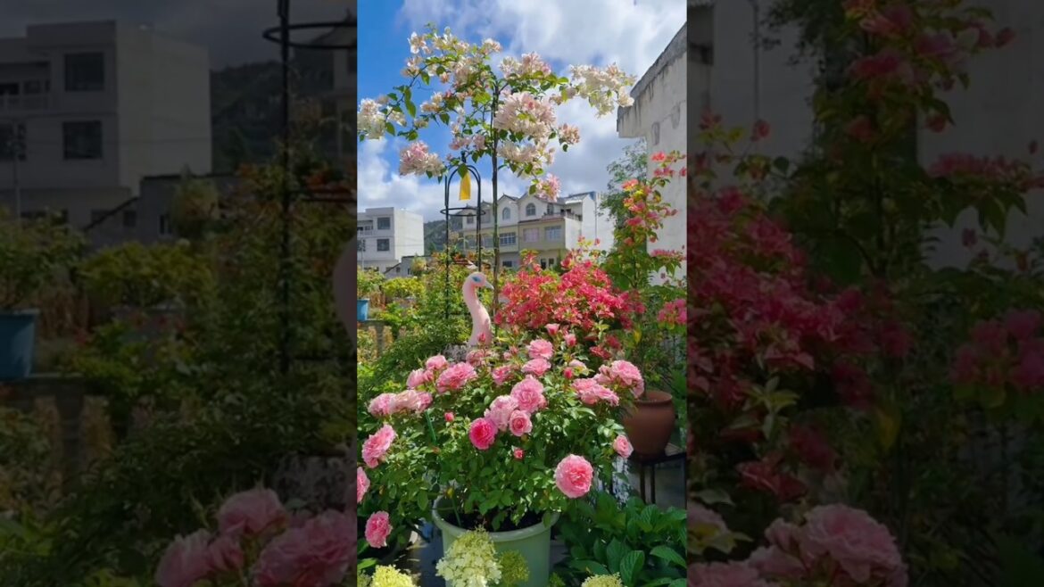 Most Beautiful Outdoor Garden Deco🌸🌴#gardening #gardening #asmr #plants #ytshorts #trendingshorts