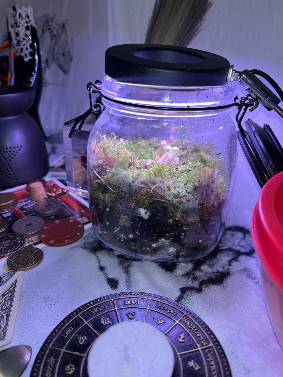 Got gifted some moss and it came with rolly pollys Got gifted some moss and it came with rolly pollys