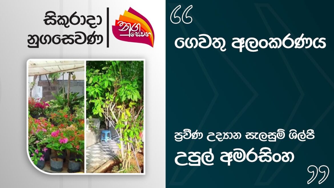 Nugasewana | Garden Plans | 2025-09-12 | Rupavahini
