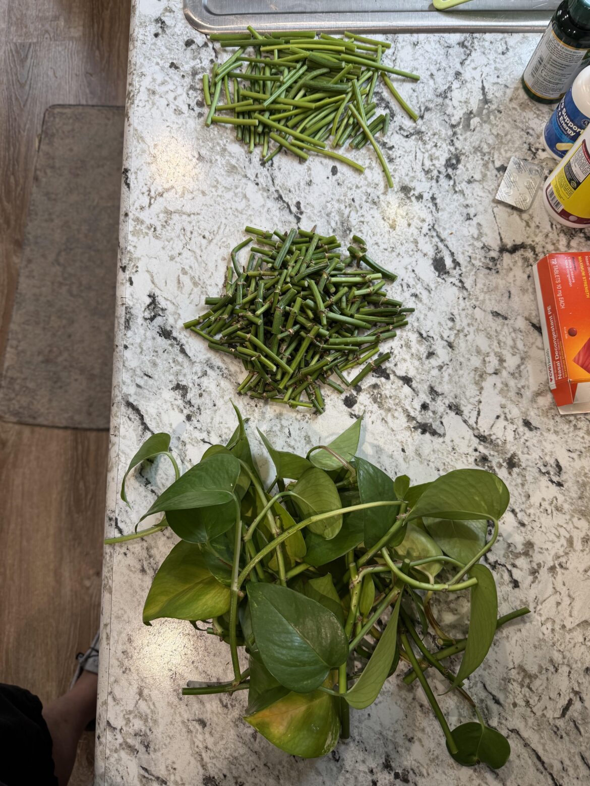 Chop and prop