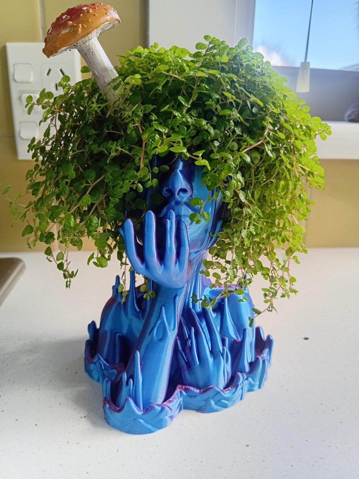 My favorite pot