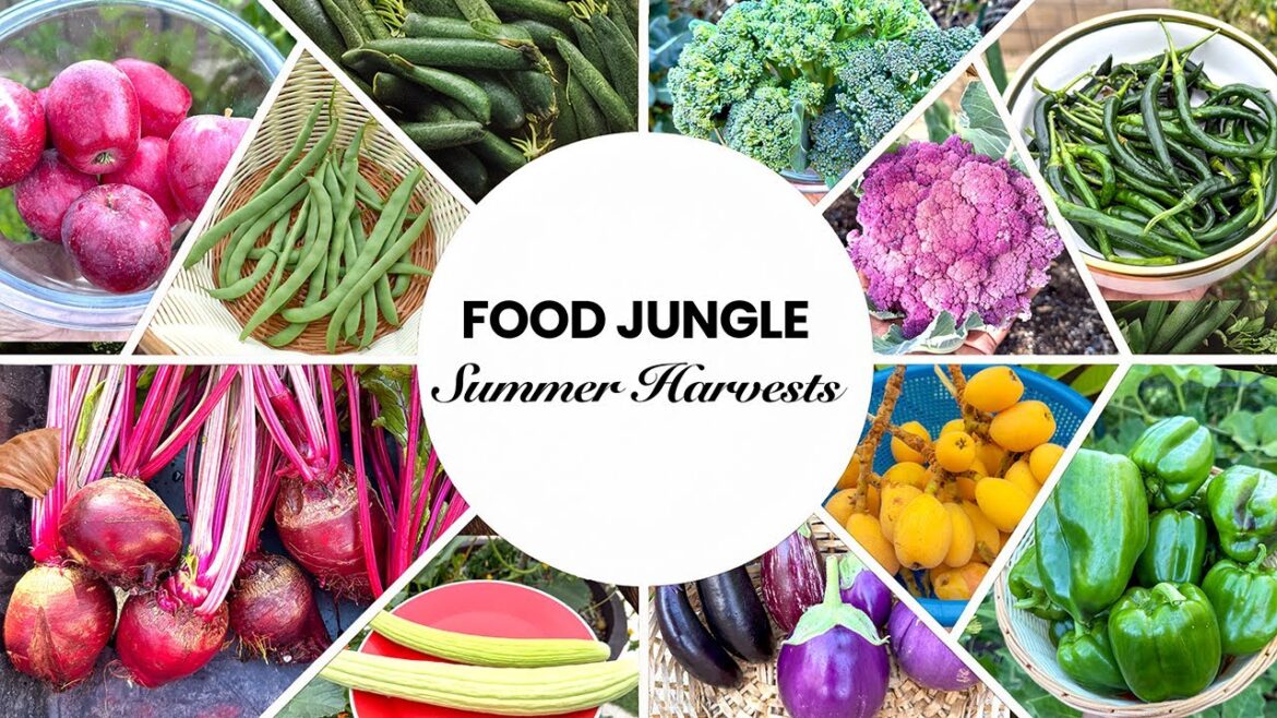 Summer Food Jungle Garden Tour + Huge Harvests | Organic Gardening Tips & Composting
