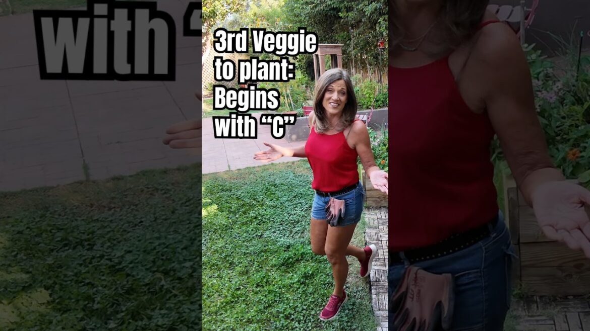 The Third Vegetable to Plant in September