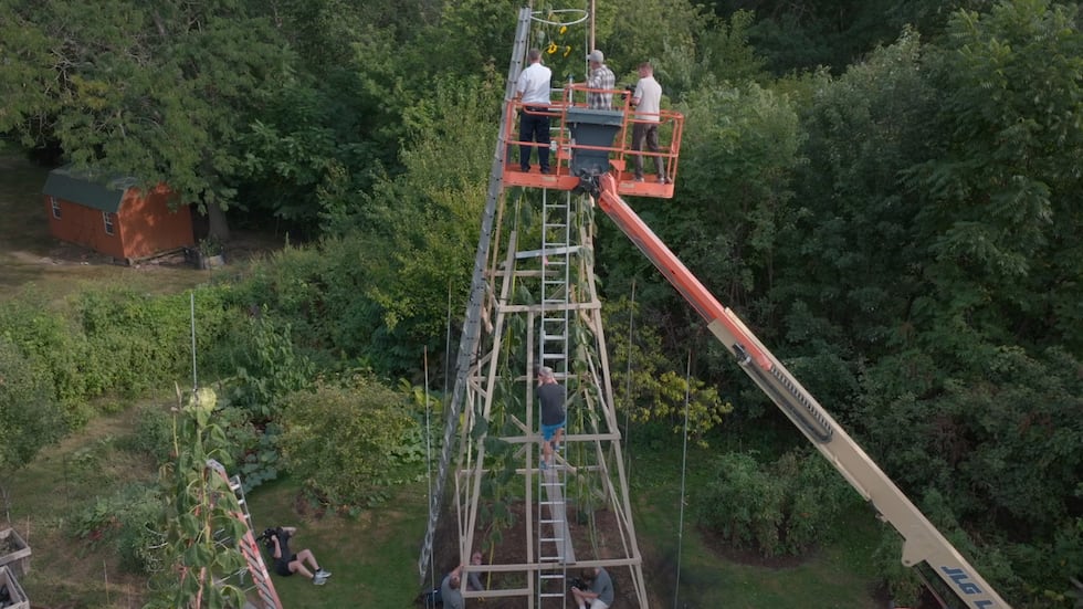 Fort Wayne man’s world record for tallest sunflower becomes official