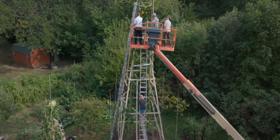 Ukrainian immigrant sets world record for growing tallest sunflower Ukrainian immigrant sets world record for growing tallest sunflower