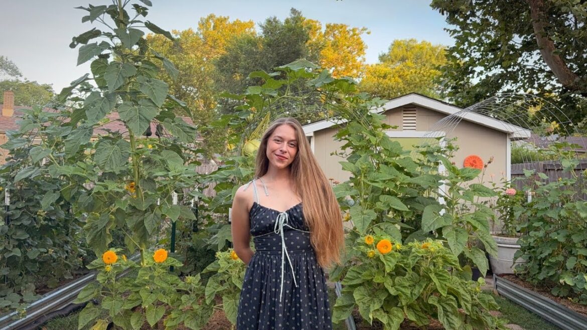 July 2025 Backyard Garden Tour July 2025 Backyard Garden Tour