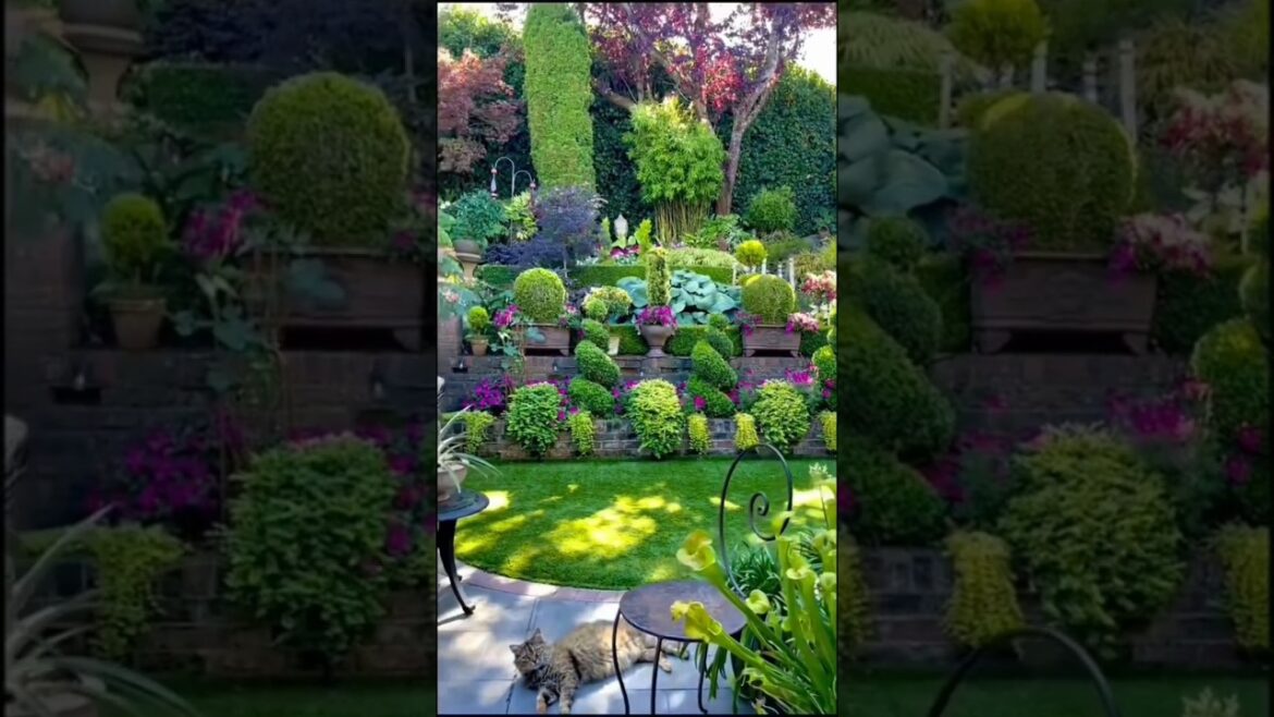 Outdoor Garden Decor You'll Get Inspired 🪴🌱🌸😲#gardening #outdoorgarden #gardenideas #oasis #asmr
